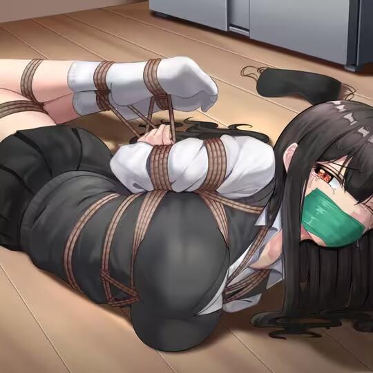 侦探母女的紧缚劫难封面