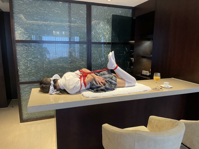 桌宠-茶茶的新兼职-物化展示放置系列-1预览图