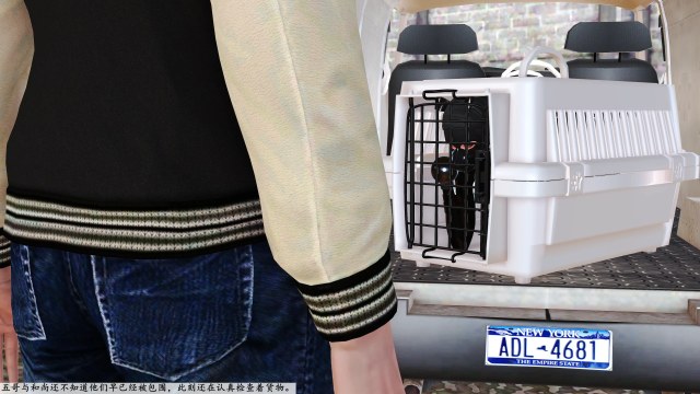 The Human Trafficking Program. The ending.Preview