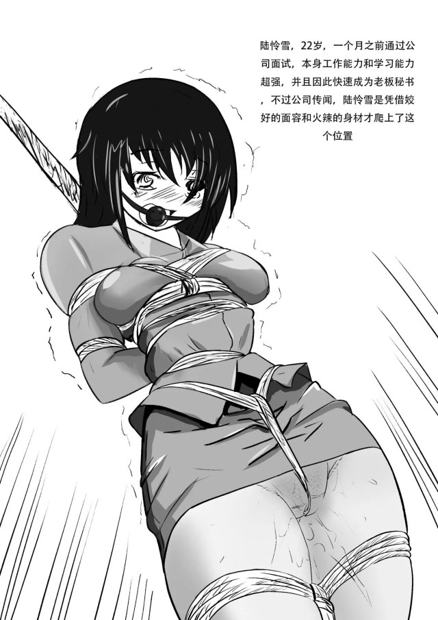 新人秘书的捆绑初体验预览图