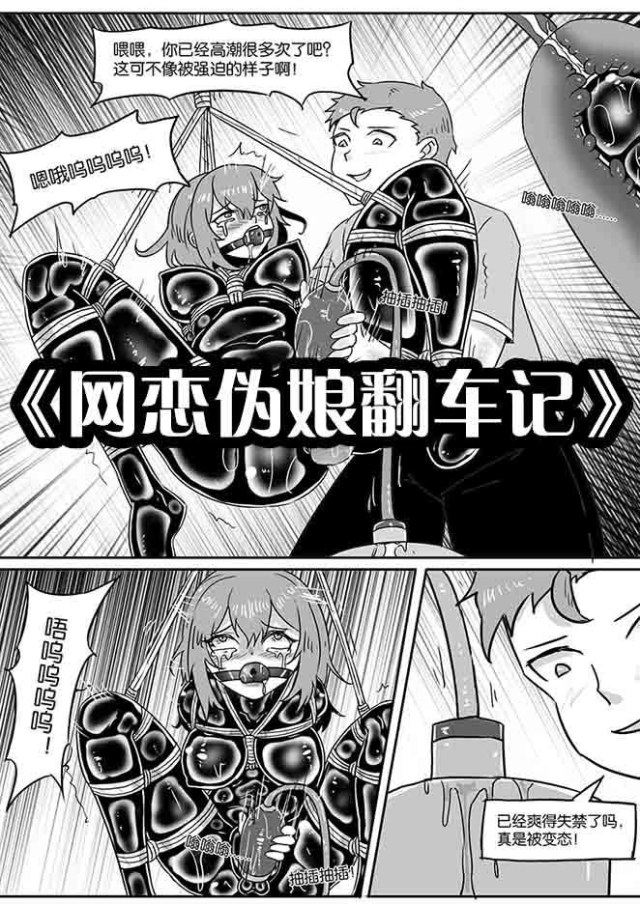 The Story of the Cybersex Pseudo-Maiden's Rollover.Preview