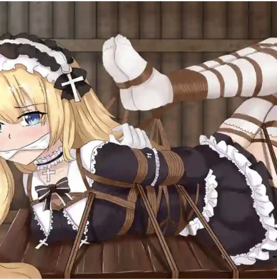 奴隶少女囚禁调教手册封面