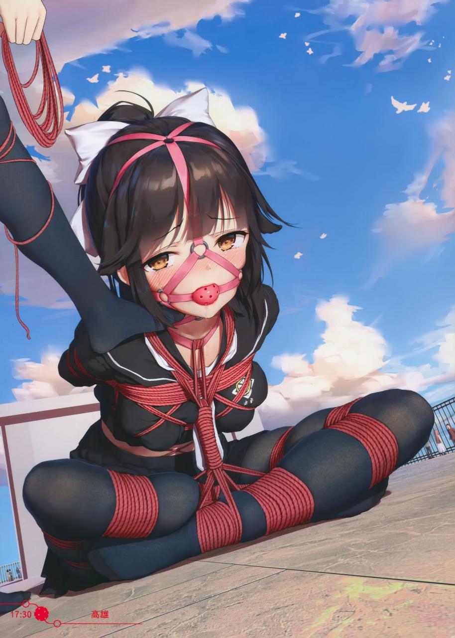 百合女子学院的紧缚攻略封面