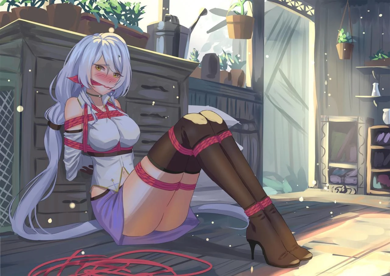 公主的紧缚战记小说封面