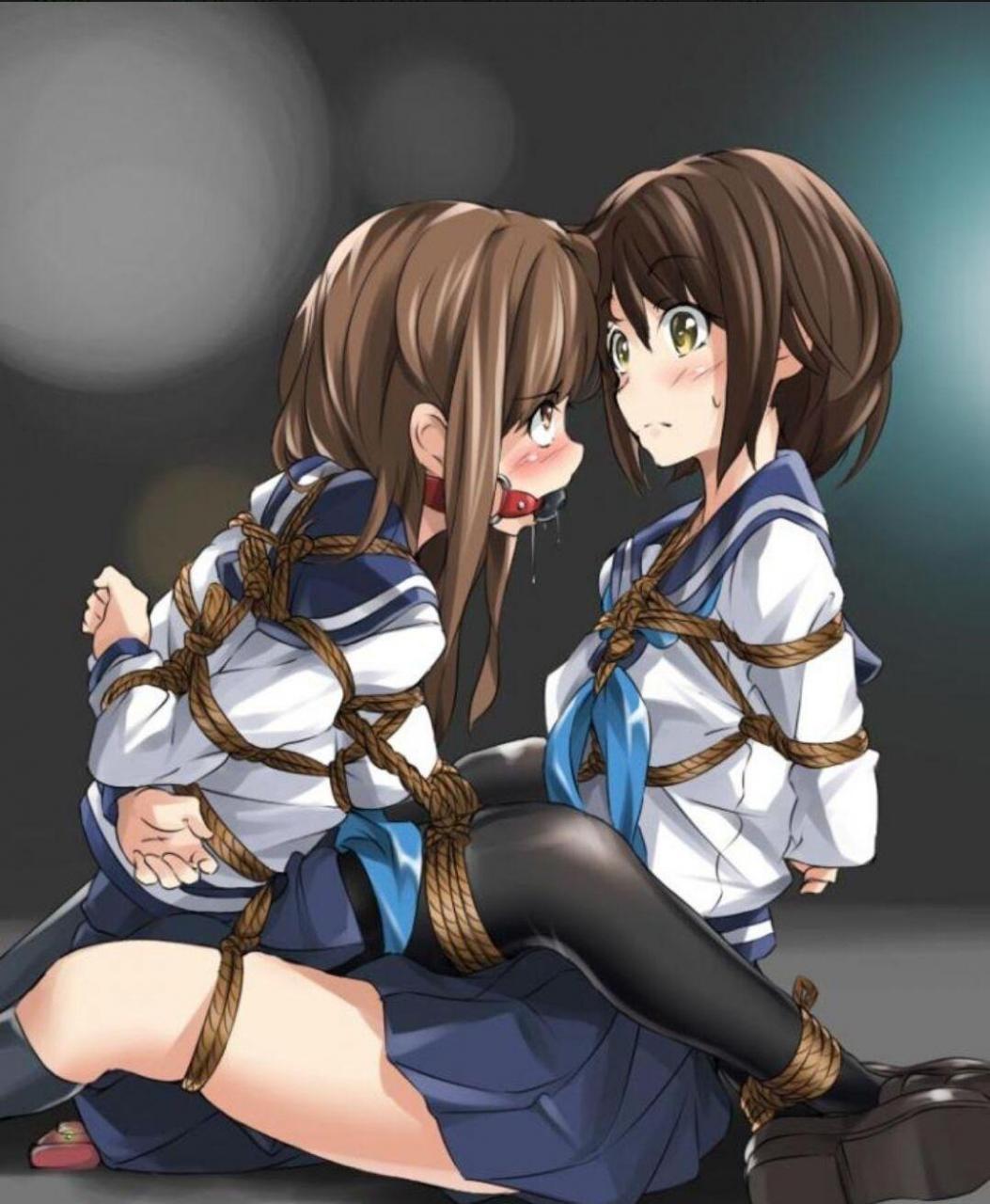 被校花绑架后，我成为她的宠物（女绑男+百合）封面