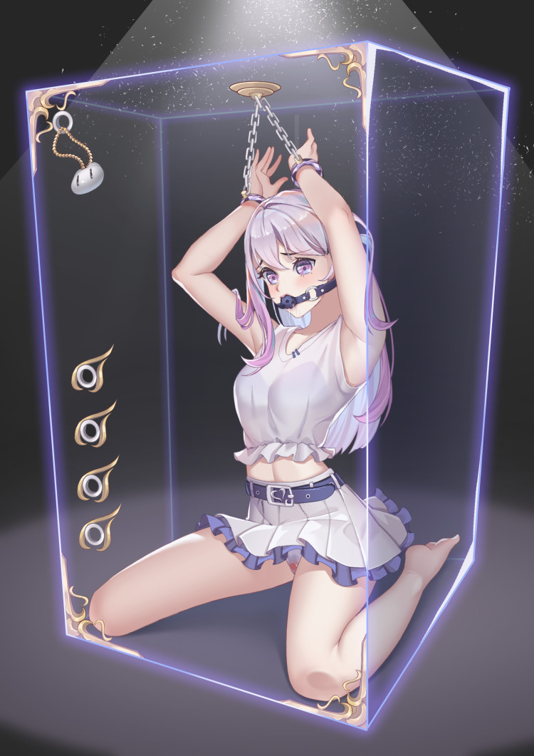 项圈与爱恋封面