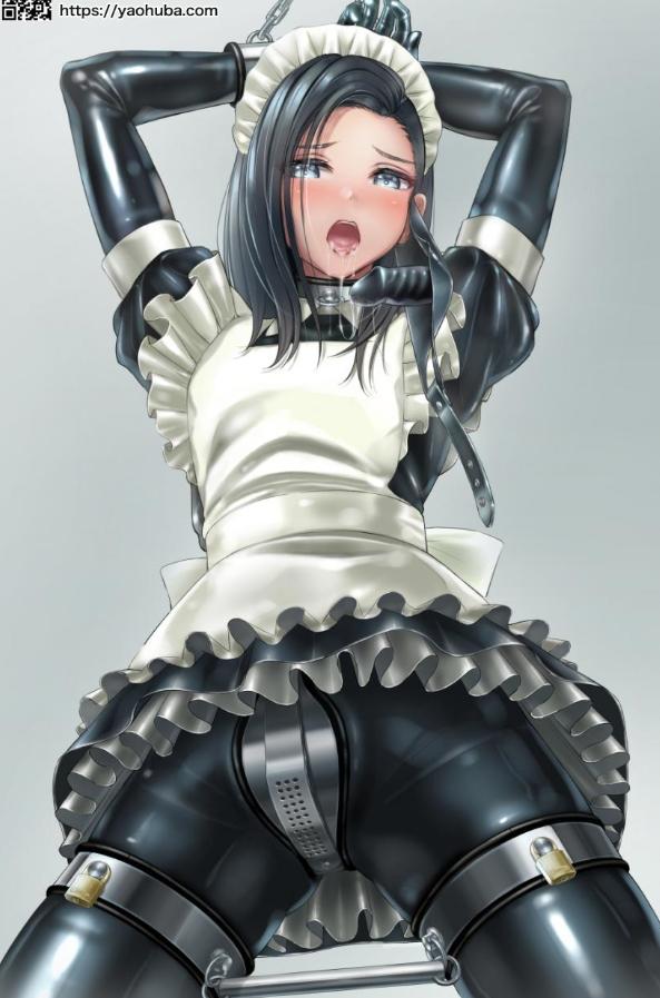 高傲神女的堕落劫难小说封面