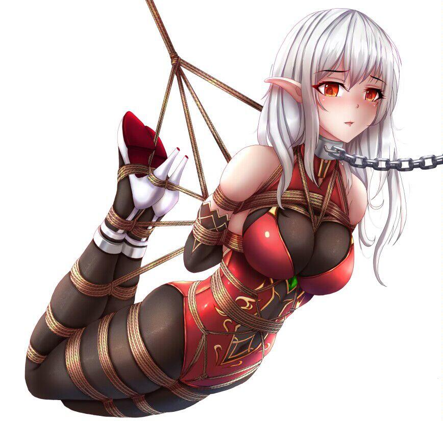 精灵公主的正确救国方式封面