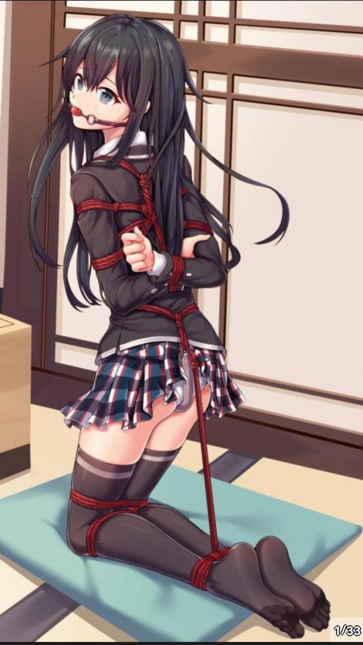 御姐侦探的肉辱调教卷宗封面