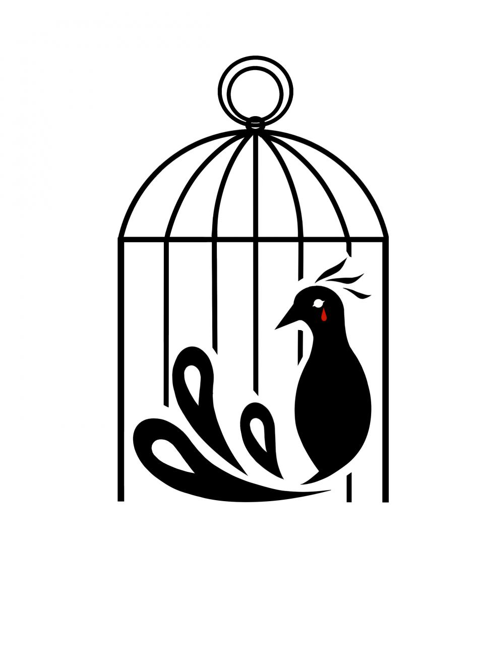 笼中鸟学院（Prototype of Caged Birds‘ Academy）封面